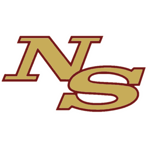 NS logo